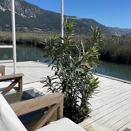 Kite * Akyaka (Mugla)